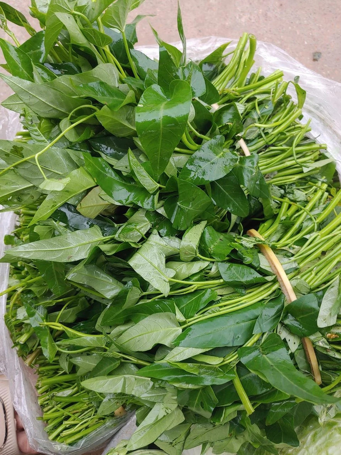 Rau muống - loại rau quen thuộc trong bữa cơm hằng ngày của nhiều gia đình Việt. Ảnh: Tuổi Trẻ Online/Pháp luật TP.HCM