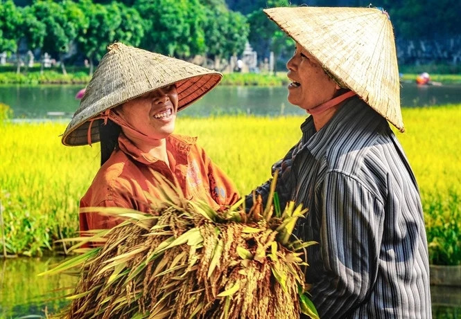Nụ cười hồn hậu của người nông dân Ninh Bình. Ảnh: báo Dân Việt