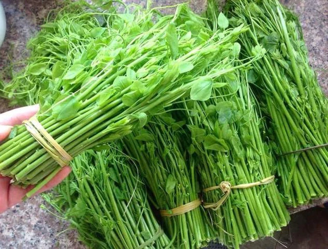 Loại rau dại từng bị nhổ bỏ, nay giá lên tới hàng trăm nghìn đồng/kg Ảnh 2