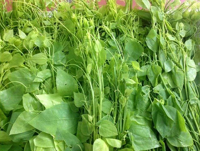 Loại rau dại từng bị nhổ bỏ, nay giá lên tới hàng trăm nghìn đồng/kg Ảnh 1