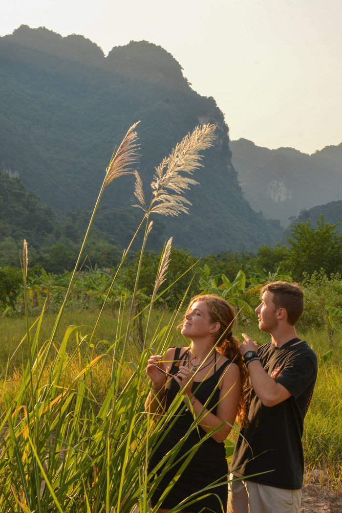 Du khách nước ngoài thích thú check-in cùng hoa lau. Ảnh: Thanh Hải/Trung tâm xúc tiến du lịch Ninh Bình
