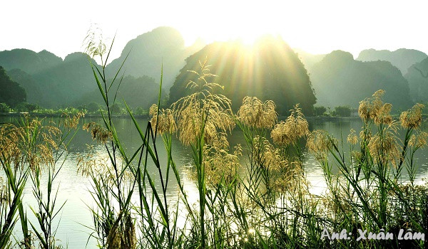 Nét thơ mộng của Ninh Bình khi mùa lau trắng về. Ảnh: Xuân Lâm