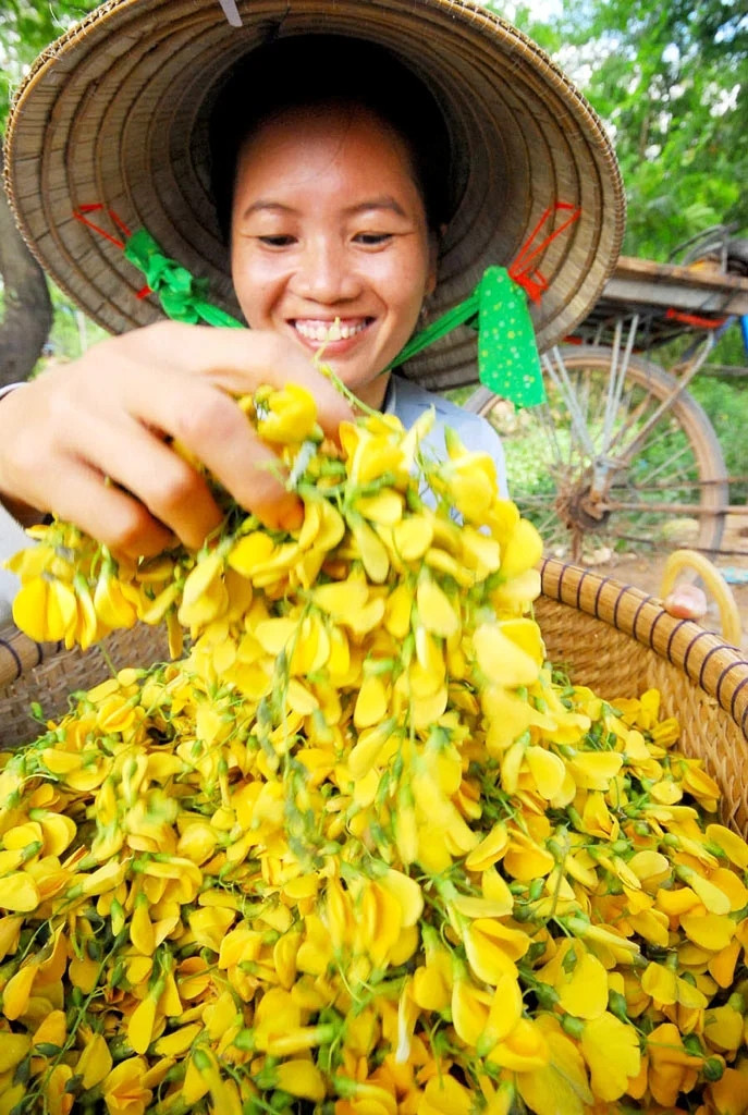 Sắc vàng rực rỡ của hoa điên điển. Ảnh: báo Dân Việt