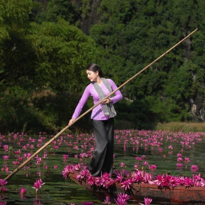 &nbsp;Hoa súng ở miền Tây. Ảnh: khanhvan