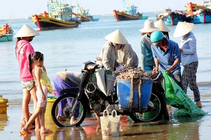 Cuộc sống tại chợ hải sản tại biển ở Đà Nẵng. Ảnh: Internet