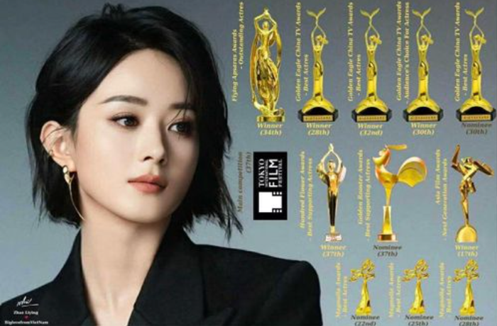 Triệu Lệ Dĩnh giành nhiều giải thưởng nhưng vẫn không có phim đóng gần hai năm.