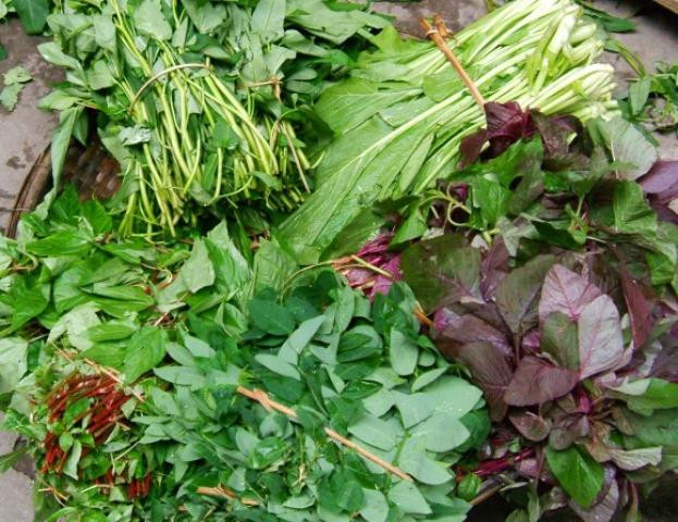Loại rau chỉ hái được vào sáng sớm, quá trưa là mất ngon Ảnh 1