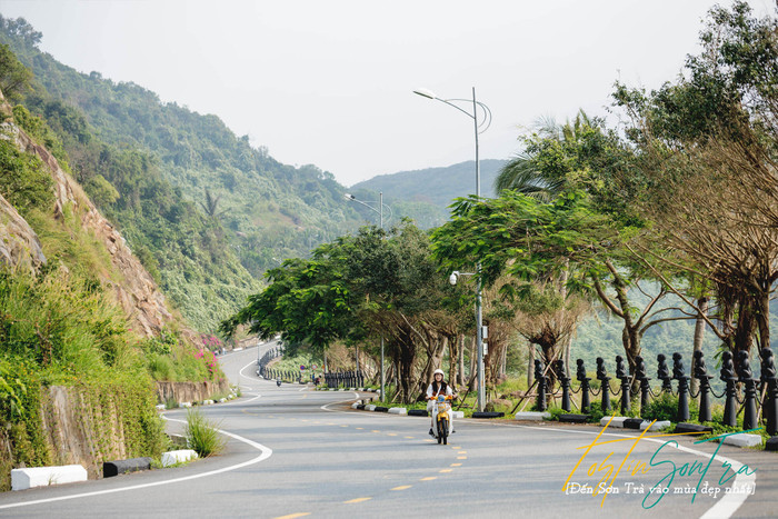 Cảnh đẹp ở cung đường lên bán đảo Sơn Trà. Ảnh: danangfantasticity.com
