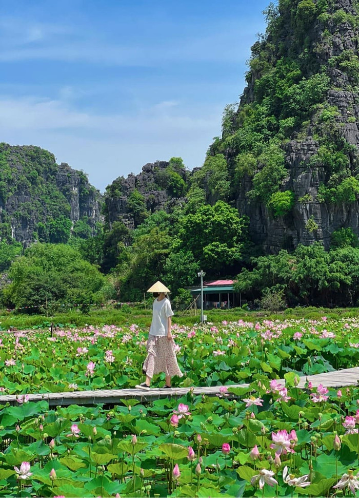 Đầm sen dưới chân Hang Múa. Ảnh: Aki Lan
