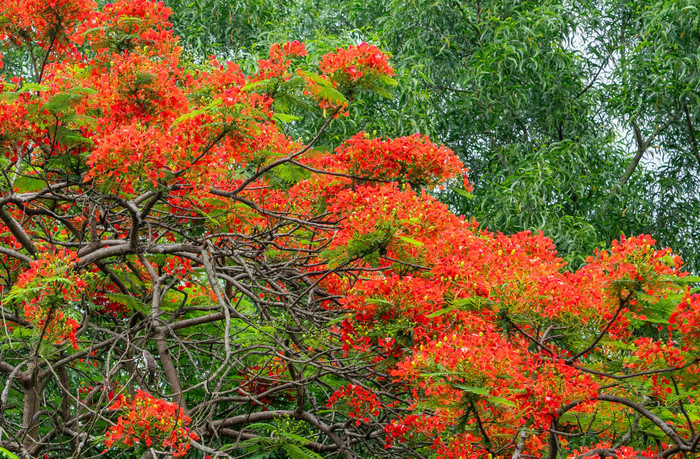 Ảnh: báo Nghệ An