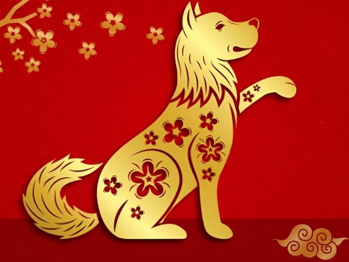 4 con giáp biết hài lòng với những điều giản dị, cuộc sống ngày càng viên mãn Ảnh 4