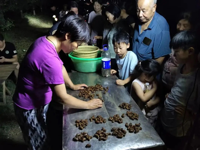 Tối nào cũng cầm đèn vào rừng, cụ ông 72 tuổi gây ngỡ ngàng với số tiền kiếm được Ảnh 2