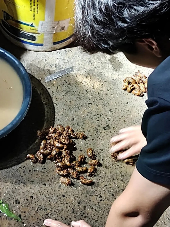 Tối nào cũng cầm đèn vào rừng, cụ ông 72 tuổi gây ngỡ ngàng với số tiền kiếm được Ảnh 3