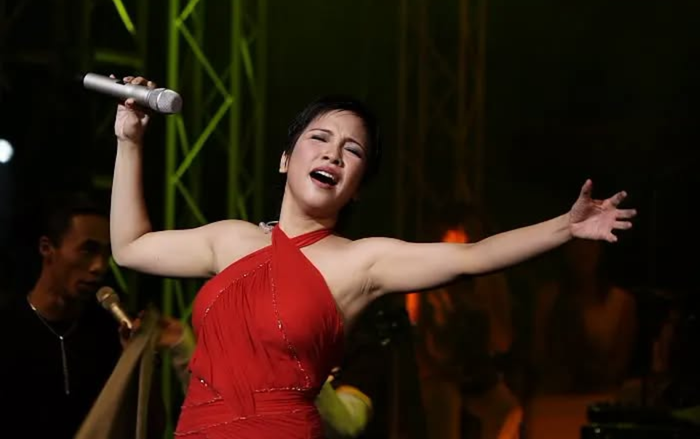 Diva Mỹ Linh công khai điều đặc biệt sau 20 năm giấu kín Ảnh 2