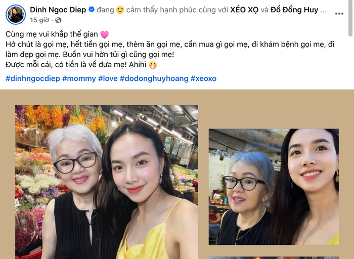Chia sẻ của Đinh Ngọc Diệp. Chụp màn hình FBNV