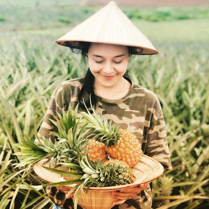 Đến tham quan vườn dứa, du khách còn có thể tự tay hái quả và mang về. Ảnh: @thuvy1010