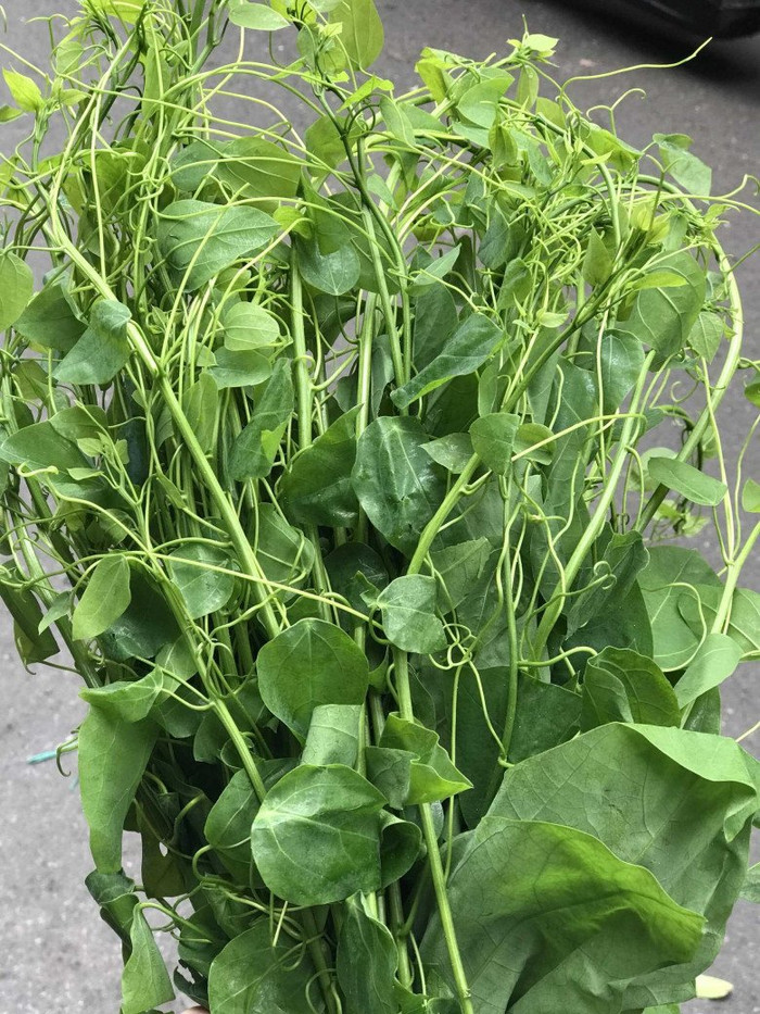 Về Nghệ An quê hương Hồ Văn Cường, đừng quên thử loại rau dân dã này Ảnh 2