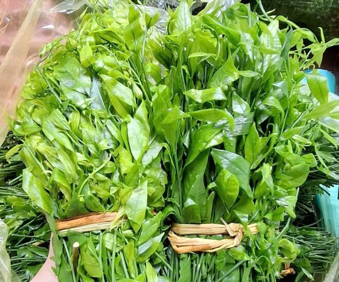 Đến Ninh Bình quê Phương Oanh, nhiều người tìm ăn loại rau gắn với vùng núi đá vôi Ảnh 2