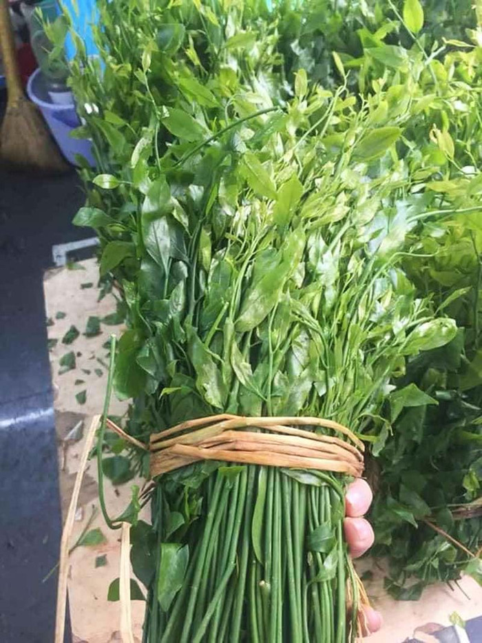 Đến Ninh Bình quê Phương Oanh, nhiều người tìm ăn loại rau gắn với vùng núi đá vôi Ảnh 4