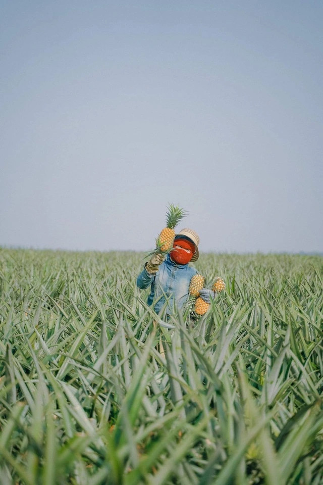 Ảnh: Bộ Công Thương