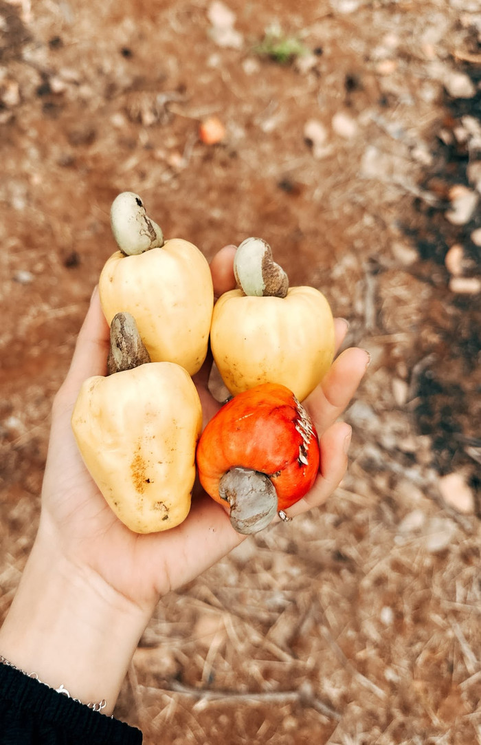 Hình ảnh mới nhất của 'Kiều nữ làng hài' Nam Thư Ảnh 2