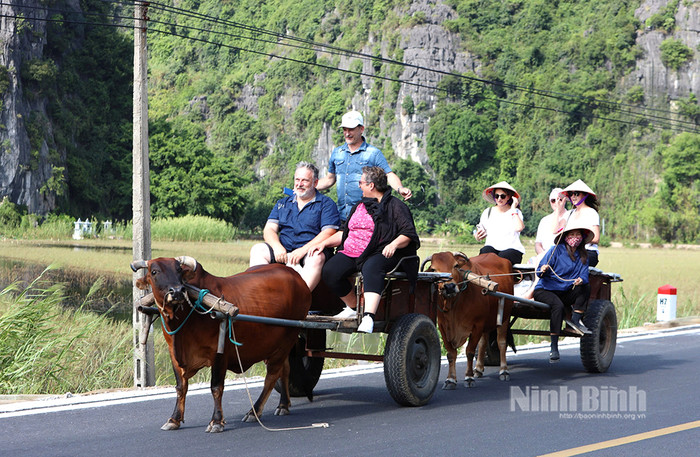 Những trải nghiệm khó quên của du khách nước ngoài khi đến Ninh Bình. Ảnh: báo Ninh Bình