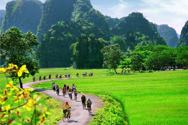 Đạp xe giữa khung cảnh này, hẳn rằng ai cũng thích thú. Ảnh: Sưu tầm Internet