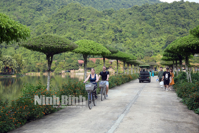 Ảnh: báo Ninh Bình