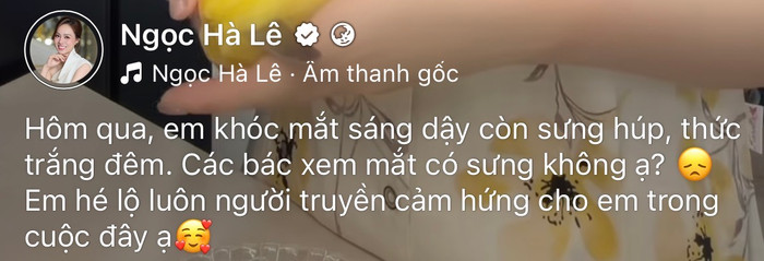 Ngọc Hà chia sẻ từng bật khóc và mất ngủ vì những thông tin sai lệch về mình. Ảnh: Chụp màn hình FBNV