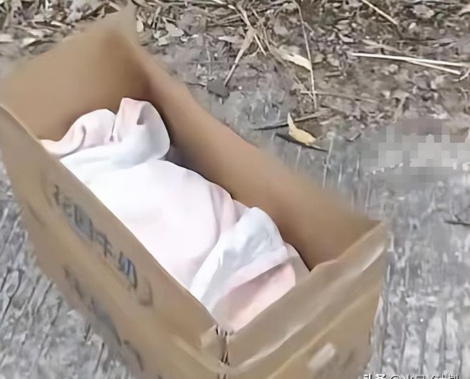 Bé gái bị cha mẹ bỏ rơi khi mới 4 ngày tuổi, phép màu xảy ra sau 23 năm Ảnh 2