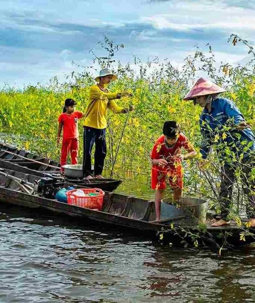 Người dân Đồng Tháp cần cù, chịu thương, chịu khó. Ảnh minh hoạ/Nguồn: Sưu tầm internet