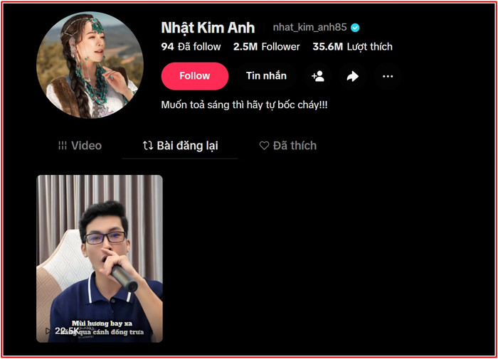 Nhật Kim Anh bày tỏ sự yêu thích dành cho ca khúc nhạc chế liên quan đến meme của mình từ ca sĩ Tiêu Minh Phụng.