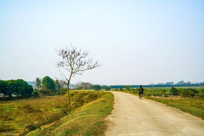 Đường làng ở Bắc Ninh. Ảnh: Nhiếp ảnh Nguyễn Quang Hưng