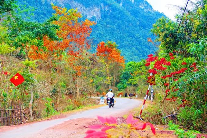 Con đường đẹp nhất miền Tây Nghệ An. Ảnh: báo Nghệ An