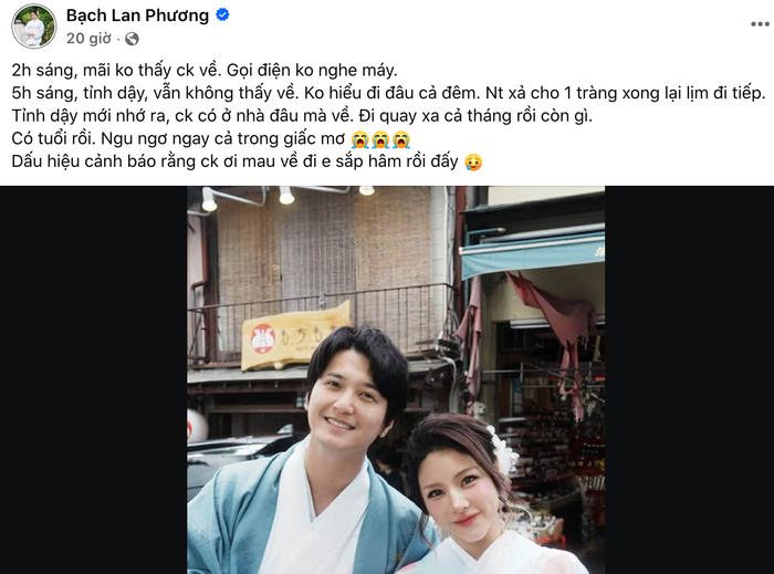 Câu chuyện của Bạch Lan Phương và Huỳnh Anh. Ảnh: Chụp màn hình FBNV