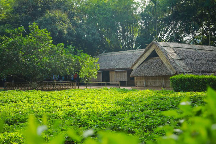 Hình ảnh tại Khu Di tích quốc gia đặc biệt Kim Liên&nbsp;