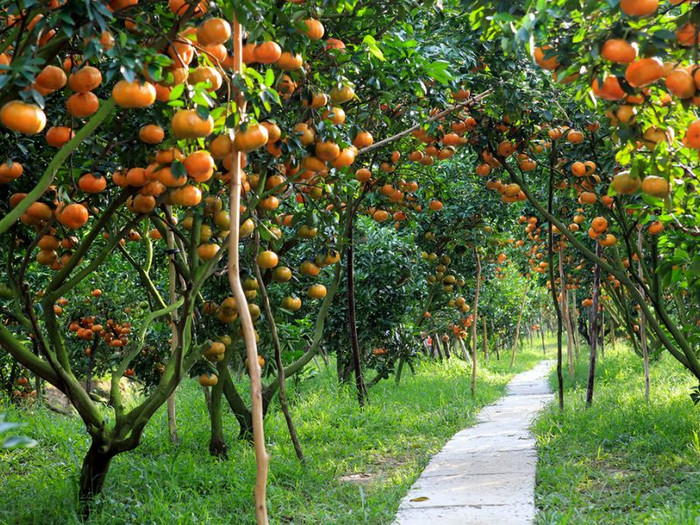 7 địa điểm đẹp như tranh ở quê Nam Em dành cho những người muốn 'hoà mình vào thiên nhiên' Ảnh 7