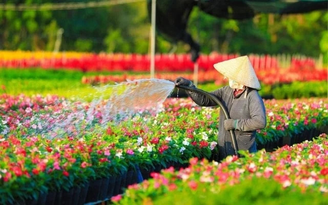 7 địa điểm đẹp như tranh ở quê Nam Em dành cho những người muốn 'hoà mình vào thiên nhiên' Ảnh 5
