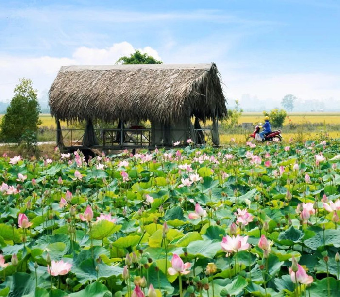 7 địa điểm đẹp như tranh ở quê Nam Em dành cho những người muốn 'hoà mình vào thiên nhiên' Ảnh 8