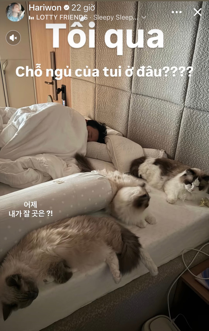Sau khi trở lại Việt Nam, những chia sẻ gần đây của Hari Won và Trấn Thành tiếp tục cho thấy cuộc sống hôn nhân hạnh phúc sau gần 10 năm bên nhau. Ảnh: FBNV