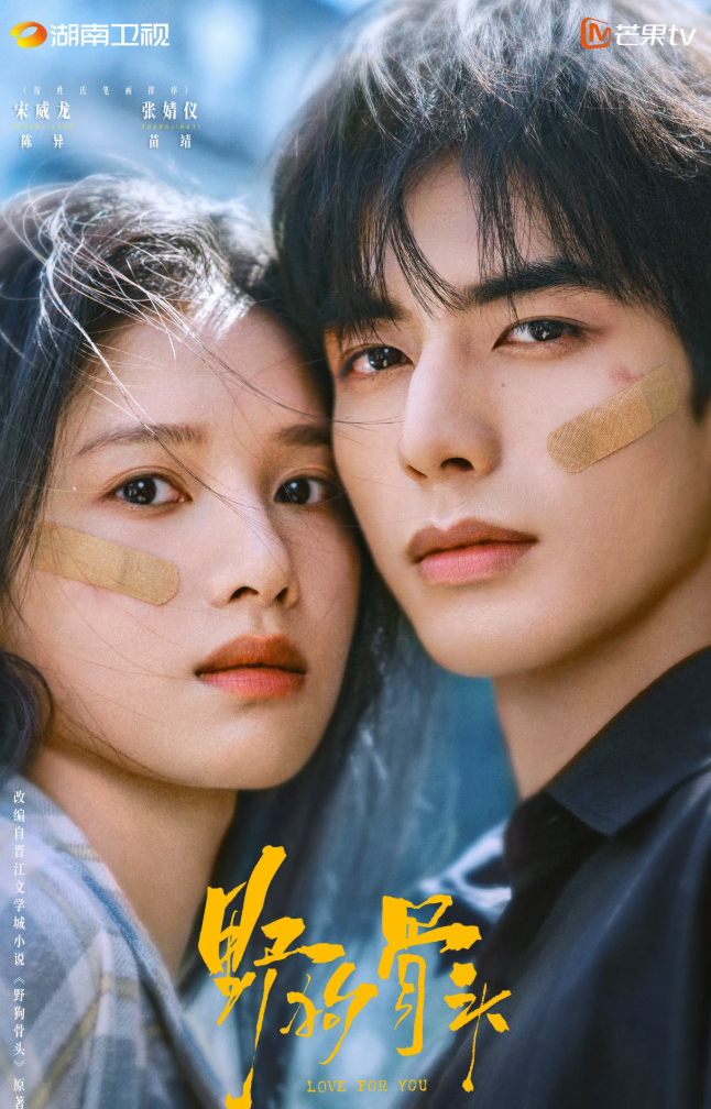 Chó Hoang Và Xương phá 4,5 triệu đặt trước trên Mango TV và Weibo.