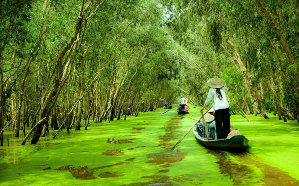 Cảnh đẹp sông nước Đồng Tháp