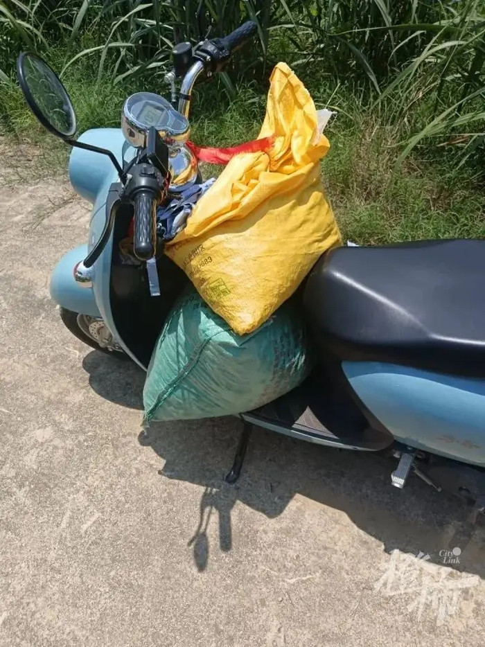 Con trai đi ra đồng nhổ đậu từ 5 giờ sáng, mẹ ruột bàng hoàng sau khi đến nơi Ảnh 2