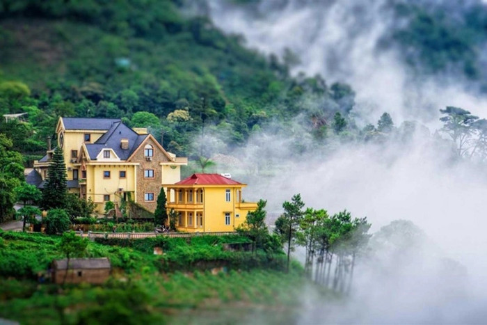 Đến Tam Đảo, du khách dễ bắt gặp làn sương mờ, đẹp đến nao lòng như thế này. Ảnh: báo Dân Trí