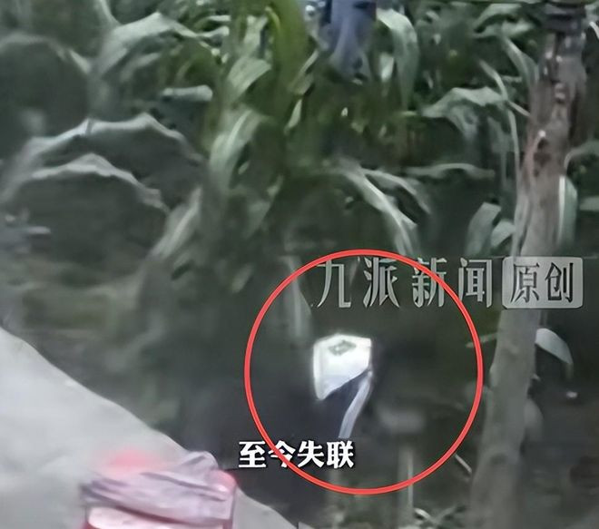Bé trai 11 tuổi bỏ nhà đi suốt 5 ngày vì bị bà mắng, đau lòng hình ảnh sau khi tìm thấy Ảnh 3