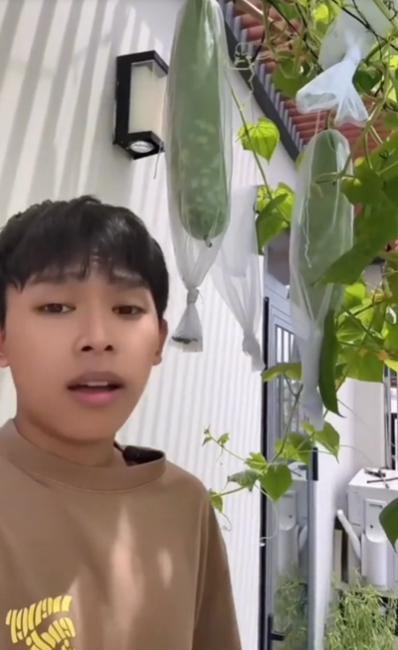 Nam ca sĩ tự tin khẳng 'kinh nghiệm đầy mình' nên mới trồng ra giàn bầu có quả tươi xanh.