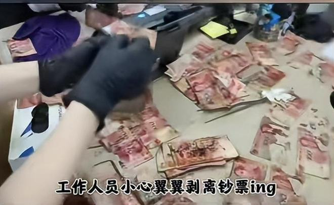 Đi làm xa quên đóng cửa sổ, người đàn ông bàng hoàng trước cảnh tượng khi về nhà Ảnh 2