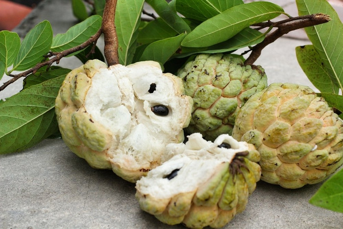 Loại quả cứ cuối hè đầu thu lại xuất hiện khắp chợ quê Ảnh 3
