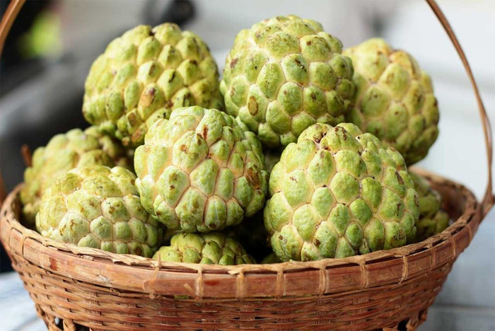 Loại quả cứ cuối hè đầu thu lại xuất hiện khắp chợ quê Ảnh 1