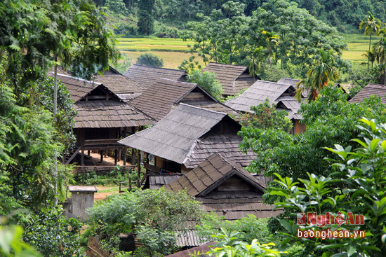 Những bản làng đẹp như tranh. Ảnh: báo Nghệ An